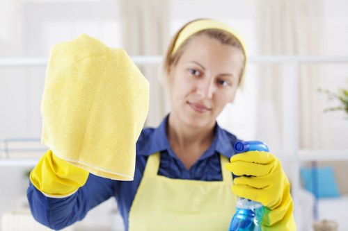 Accessibility statement introduction for Finchley carpet cleaning services