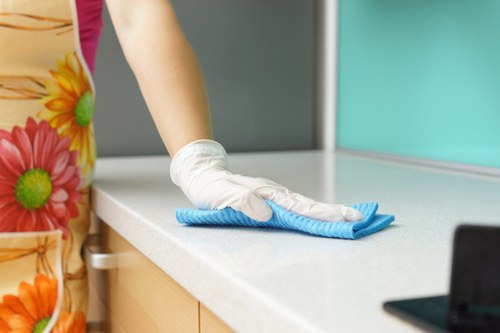 Cleaning treatment for pet urine stain and smell on upholstery in Finchley