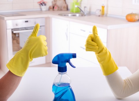 Domestic cleaning in Finchley focused on kitchen surfaces and hygiene
