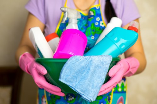 Final safety review for a professional carpet cleaning service