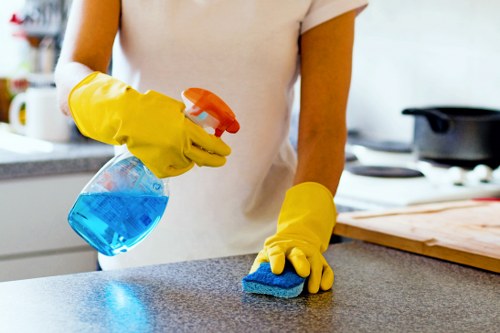 Insurance protection concept for professional carpet cleaning services