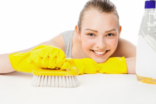 Professional domestic cleaning tasks in a Finchley property