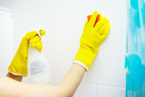 Kitchen appliance cleaning by a Finchley oven cleaning specialist