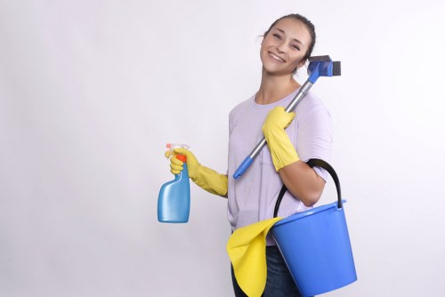 Routine Finchley window cleaning for spotless glass and neat frames