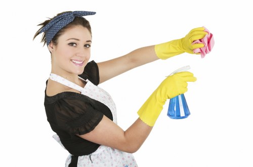 Deep carpet cleaning process in a modern room
