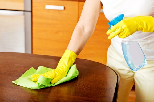 Cleaner windows in Finchley improving natural light and property appearance